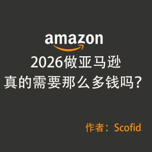 2026做亚马逊真的需要那么多钱吗？（10万够吗？其实不用那么多！）